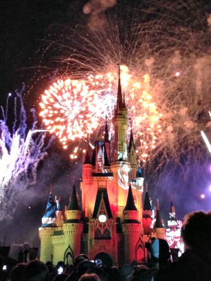 My Disney Adventure: Part IV – A Magical Ending 