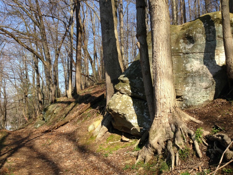 Maybe I had Bigfoot on the brain, but this boulder looks suspiciously like the big guy himself.